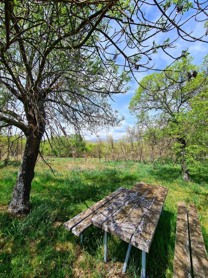 Acogedora Y Romantica Casita En La Sierra Garganta De Los Montes Zewnętrze zdjęcie