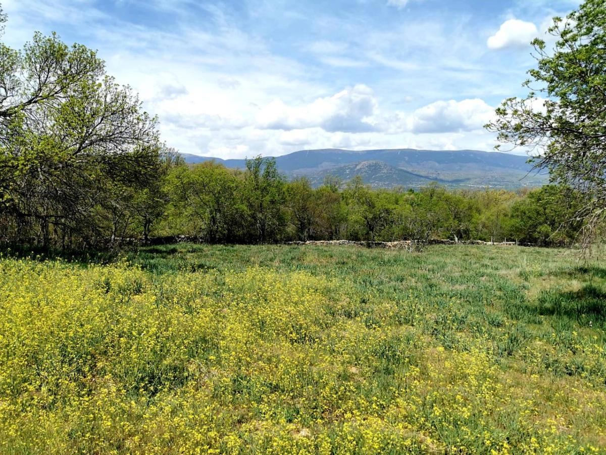 Acogedora Y Romantica Casita En La Sierra Garganta De Los Montes Zewnętrze zdjęcie