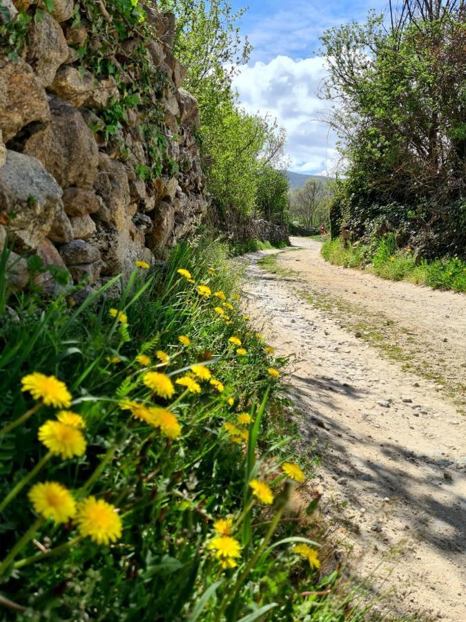 Acogedora Y Romantica Casita En La Sierra Garganta De Los Montes Zewnętrze zdjęcie