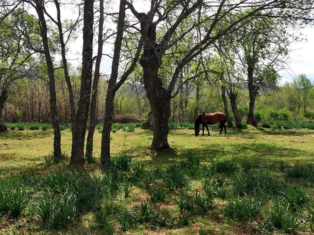 Acogedora Y Romantica Casita En La Sierra Garganta De Los Montes Zewnętrze zdjęcie